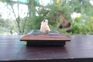 ヤドカリ神現る〜 – Tasukake